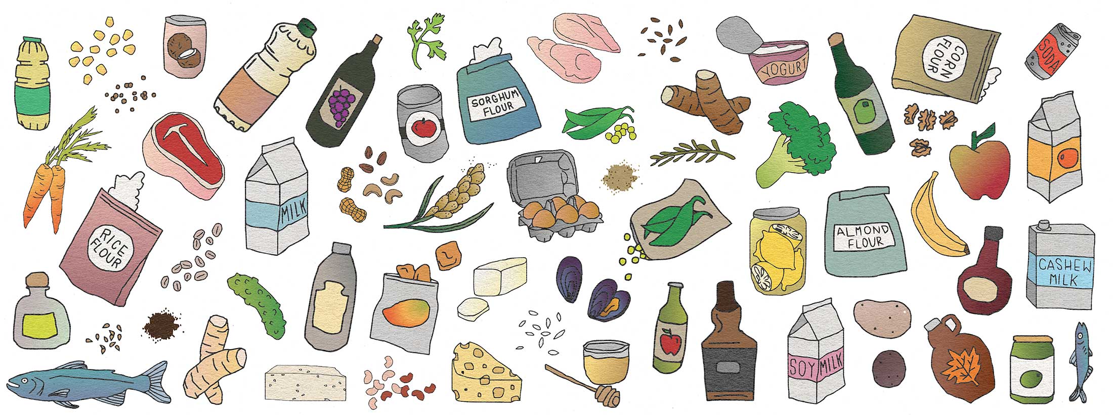 Illustration of a wide range of gluten-free foods, on a white background